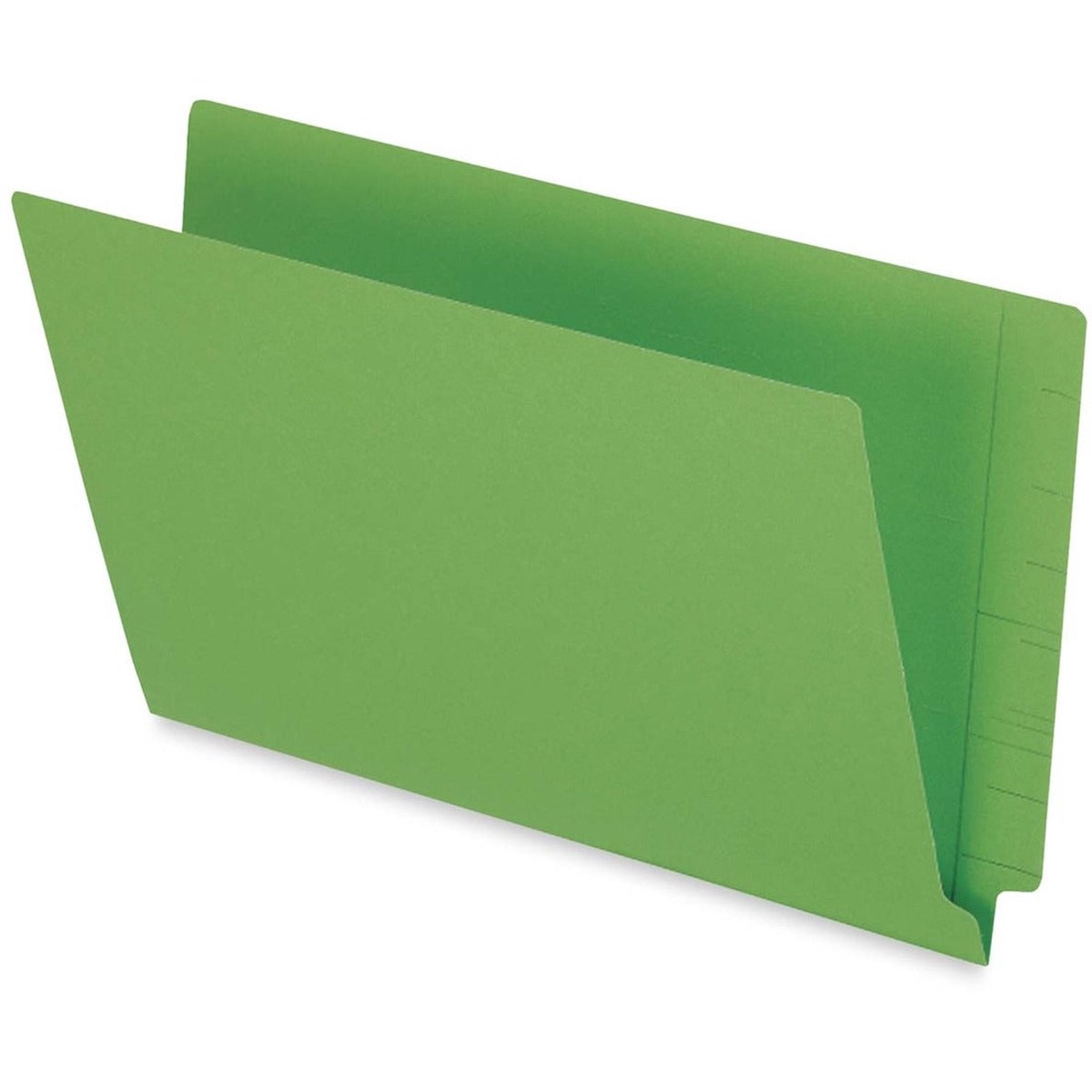 Fan Favorite Pendaflex Colored End Tab Folder
